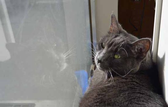 You want something Mom L? I am busy visiting with my other 'me'