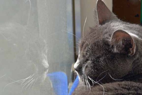 Me and My self in the sacred sun puddle