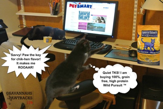 girls ordering final ed