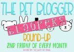 pet blogger bloopers badge