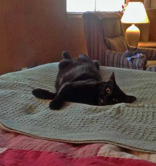 ahhhh...*joints cracking*...feels good