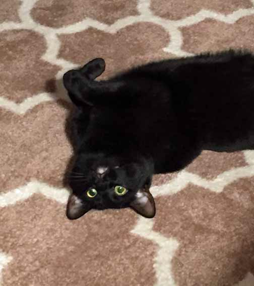 What are you lookin' at YRH Savvy? Go back to your blog reading with Mom L. I'm busy down here