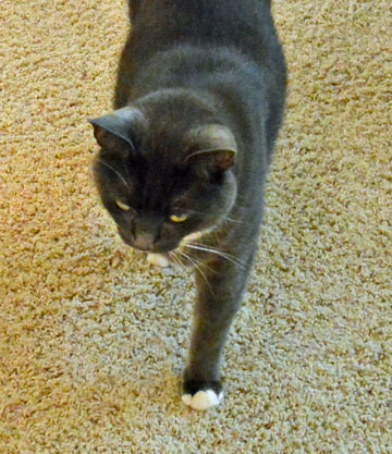 I do not see Mom L and certainly don't SMELL her...