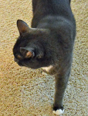 Not over there...this is really frustrating...I may have to hork up something