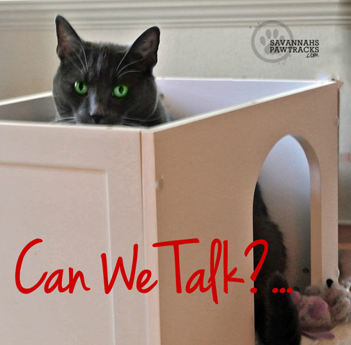 I am not sure about TKS's mental stability...