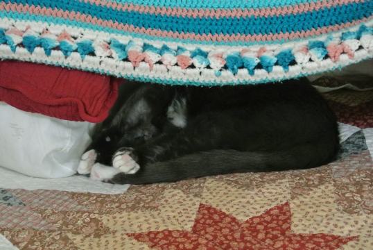 thank cod peace at last 2