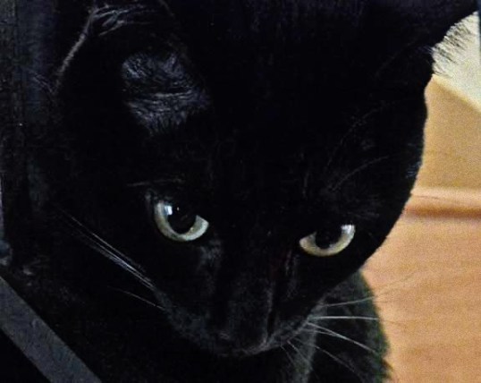 Gosh! 2 years flashed by and I never saw it because I was safe and having fun