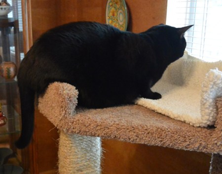 Cannot allow those burds to see me move...