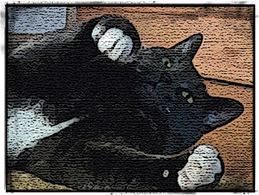 DSC_2136 ed s feb selfie edited