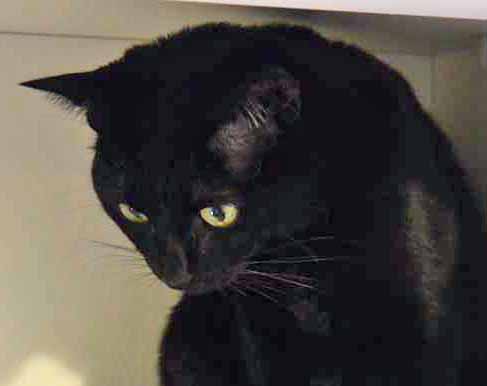 I am sure HRH Savvy doesn't have a clue