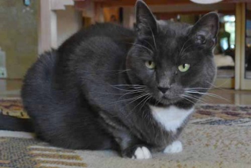 I know TKS thinks I don't know she is waiting in hiding