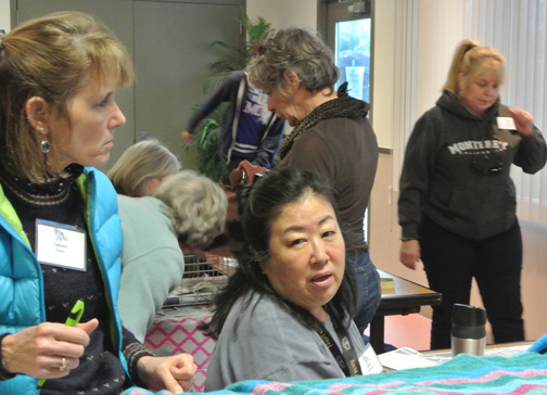 One side is for TNR and RTF rescue; the other for the public