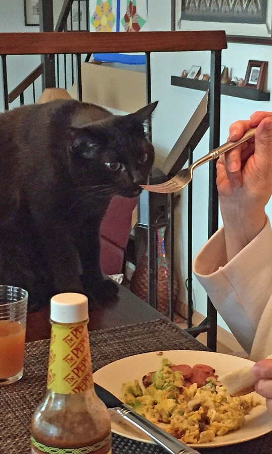 Yummy!! This is gonna be so fab!