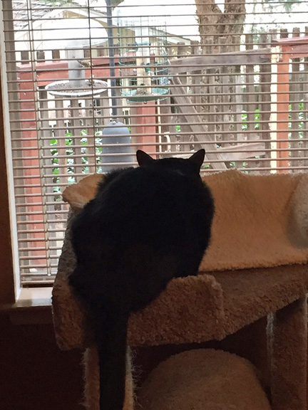 So close and yet so far...and then there is this glass...sigh