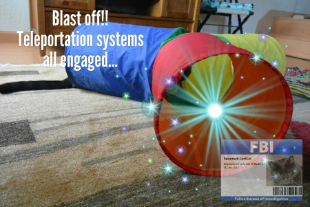 savvy teleports with badge