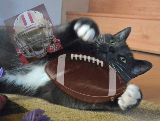 I dream of being the new secret weapon for my Niners!!