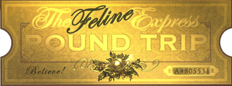 Feline Express™