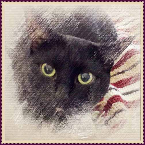 Did my eyes come out looking too big??