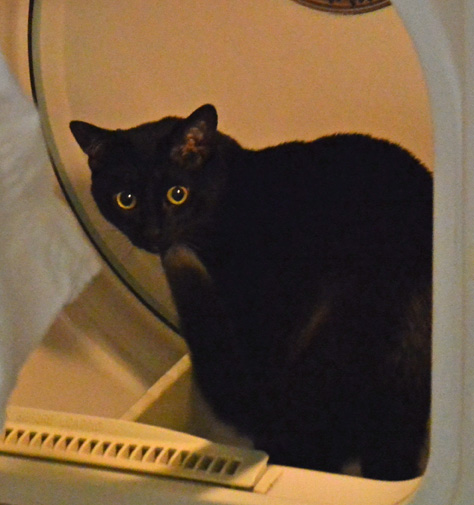 NICE! Very warm—I like it so far