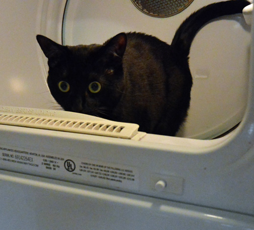 Saavvvyyy??!!! What does "ON" mean????