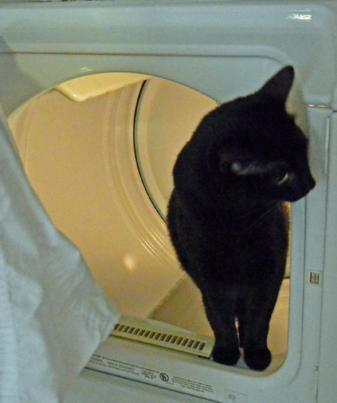 Nice view on this side—liking it so far