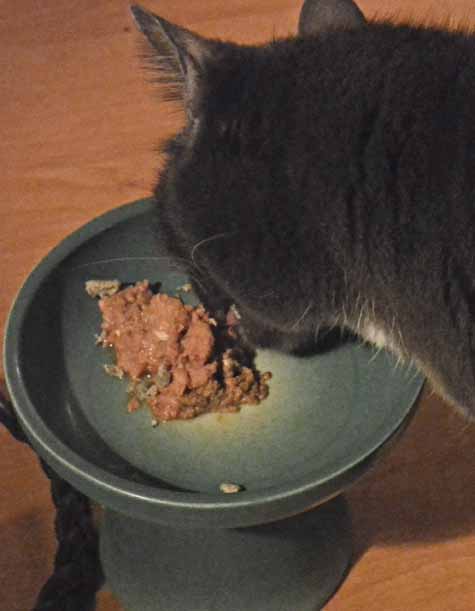 *munch, schlurp, crunch* Yummy and good for my tummy!