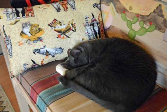 What a soft cushion and pillow