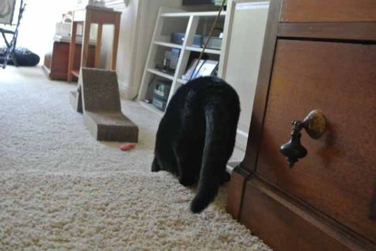 And this photo was important because...?