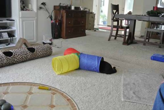 The backside of TKS again—why is this important?