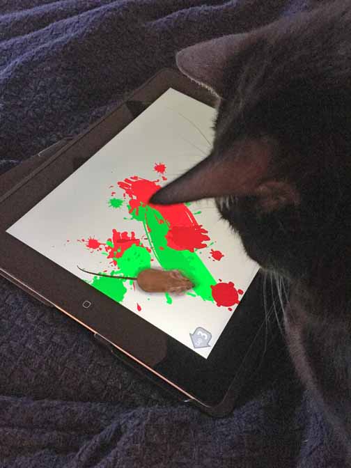 You will be mine schmousie