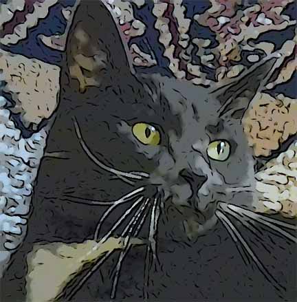 Savannah The Beautiful