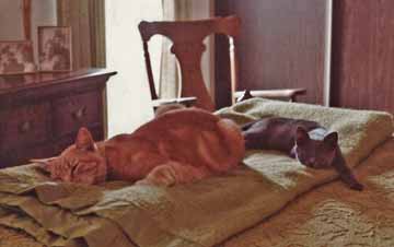 Boris and side kick Ixy