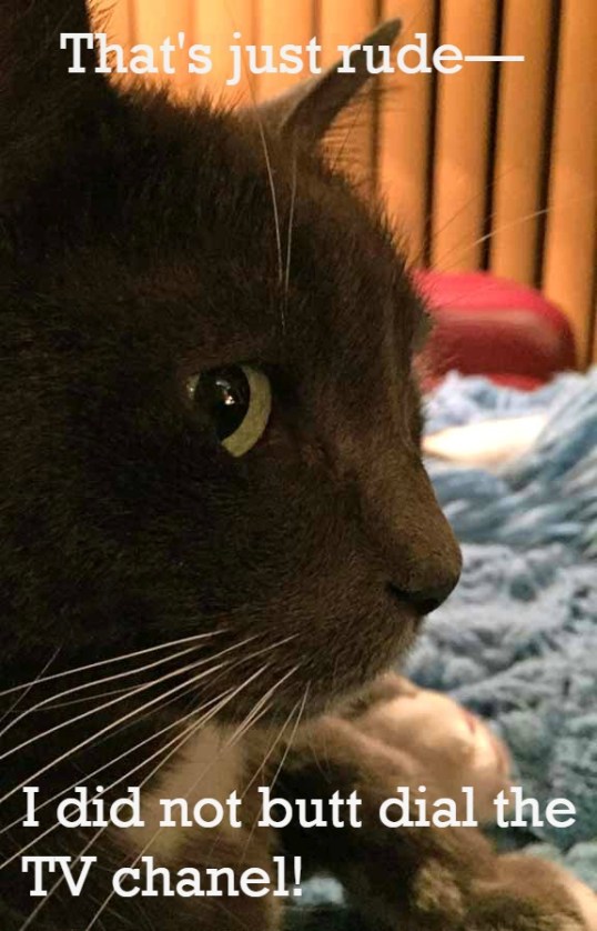 How would my butt even know how to do that??!!