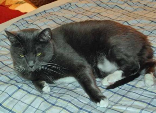 Sorry for the mess Mom L