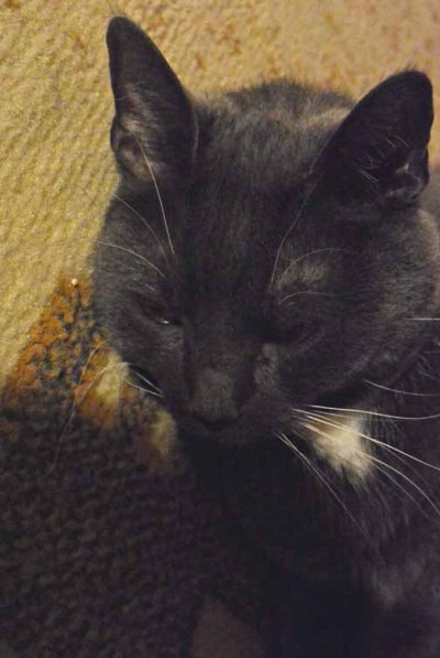 And here I am, totally out of focus and so much more!