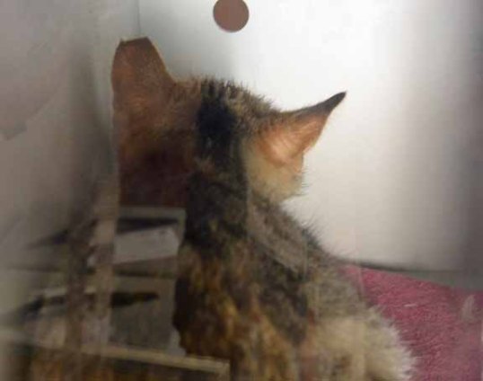 I am so scared. What is gonna become of me?