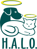 halo_logo