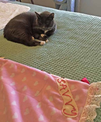 That blankie has MY name on it??!!