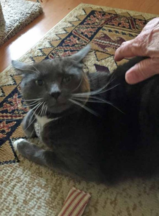 I just do not now how to control this condition