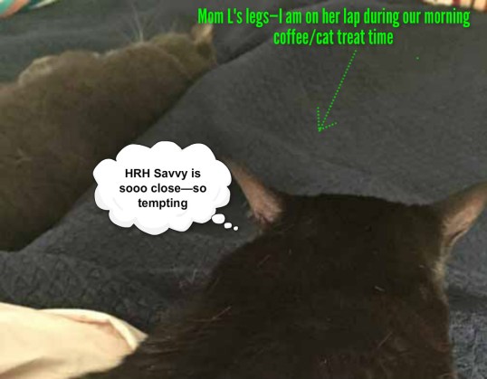 *sigh* so very, very close