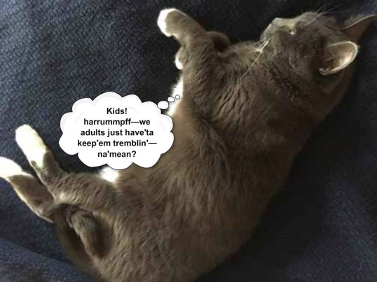 I have a lotta work to do with TKS