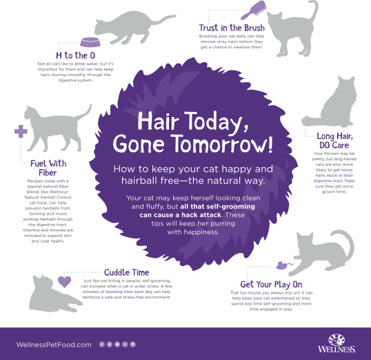 wellness-hairball-infographic-rgb_FINAL PNG