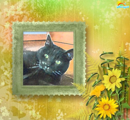 I am luvluvluv'in daisies!