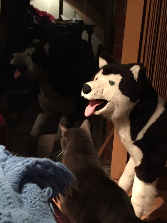 Thanks buddy for always having my back