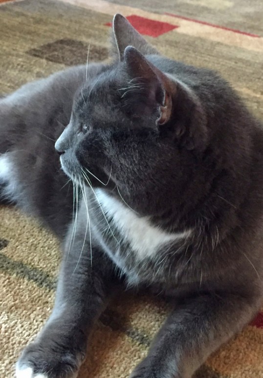 Nope! I seriously don't wanna talk right now—huh? Yeah, I said NO!