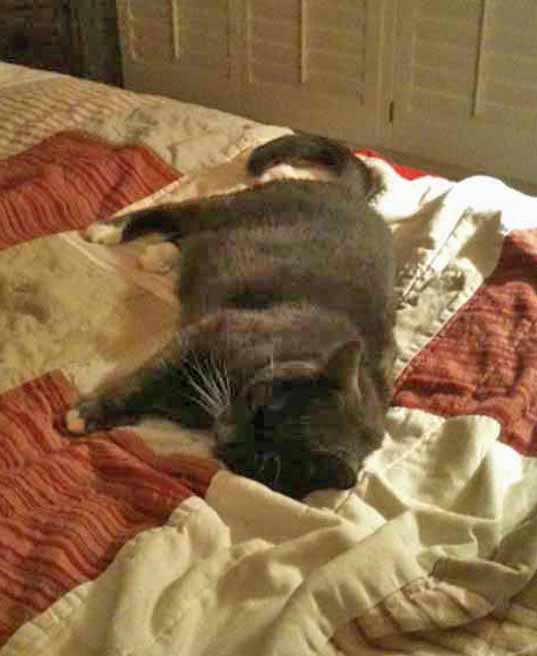 Who knew "clean" could be so tiring???