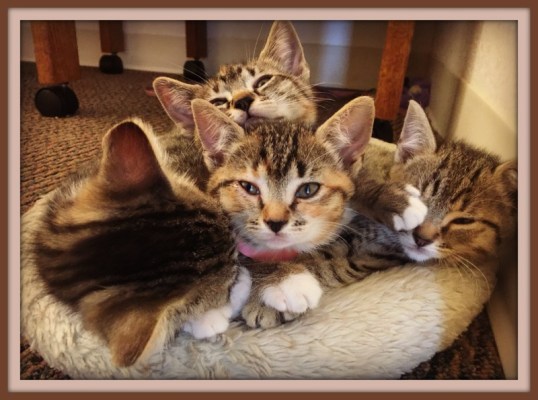 Oh, hiya! we are just waiting for our permanent home