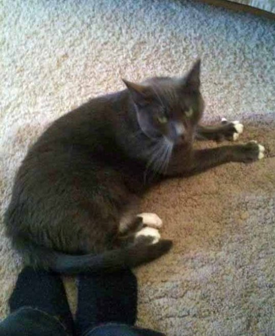 Just hangin' out on FM's toes