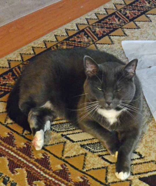 oh my—I feel a nap comin' on