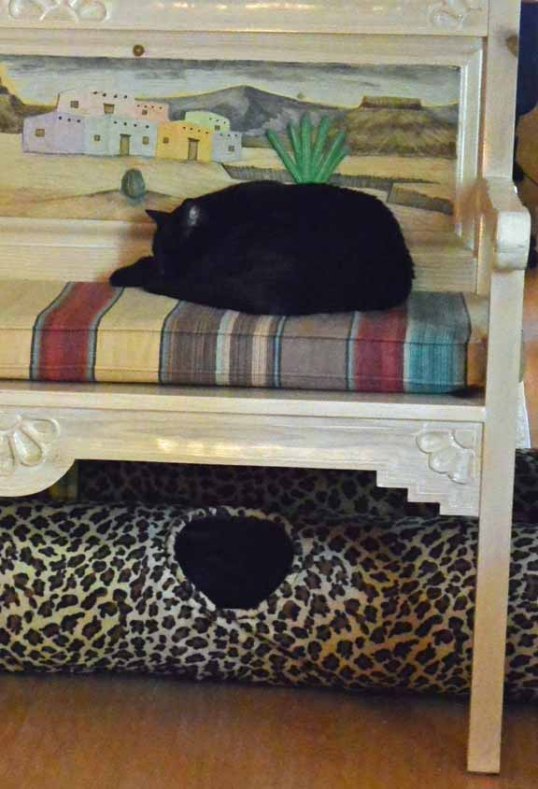 Wake me up when we move